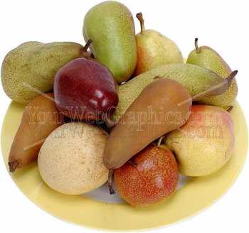 photo - pears-5-jpg